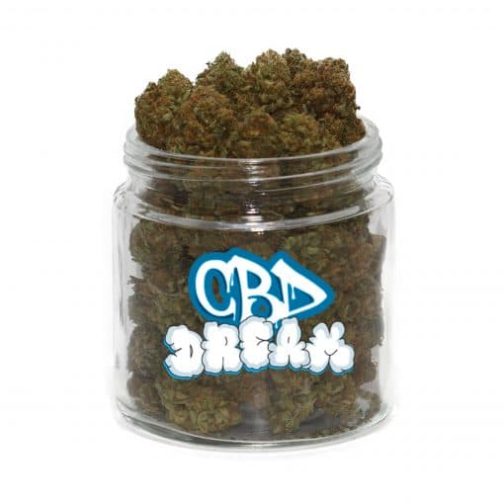 With a sweet berry smell fragrant of its Blueberry parent, CBD Dream Weed Strain conveys quick manifestation help without overwhelming narcotic impacts.