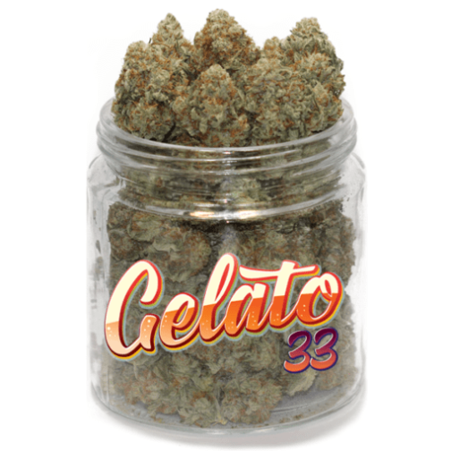 buy gelato 33 cannabis strain online