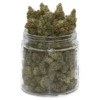 buy scout master strain online