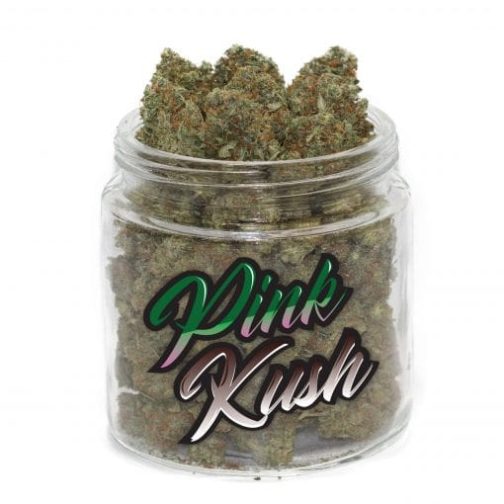 buy pink kush weed strain online