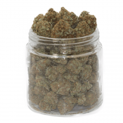 buy snow white weed strain online