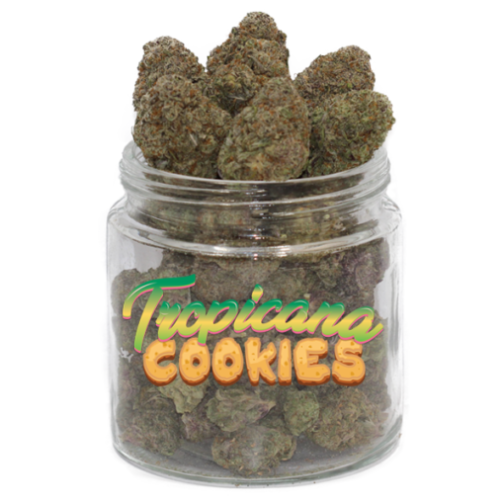 buy tropicana cookies weed strain online